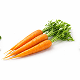 Beta-Carotene